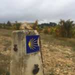 Image-9