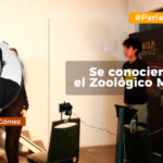Banner-facebook-Cine-Club