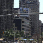 New York. Martha Alzate (100)