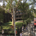 New York. Martha Alzate (113)