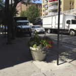 New York. Martha Alzate (124)