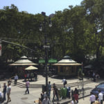 New York. Martha Alzate (54)