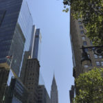 New York. Martha Alzate (65)