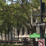New York. Martha Alzate (68)
