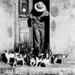 greece-2538551_1280
