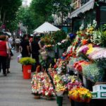 flores