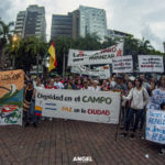 IMG_1194 copia