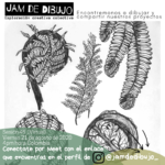 Jam-Virtual-Ilustración-de-Judy-H-Cubillos-@monocromatic_art