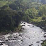 río-consotá