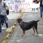 gitana